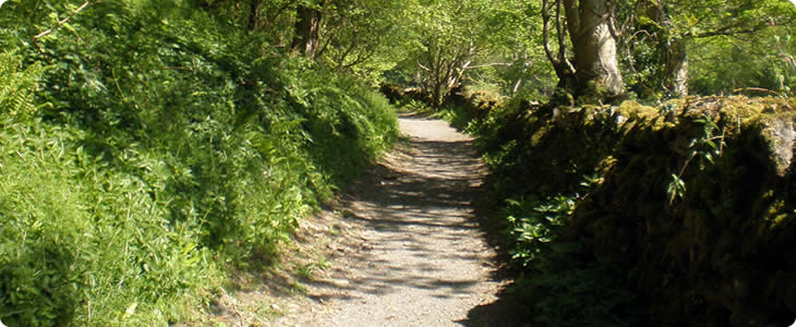 Devon Views Of Country Side and Sea