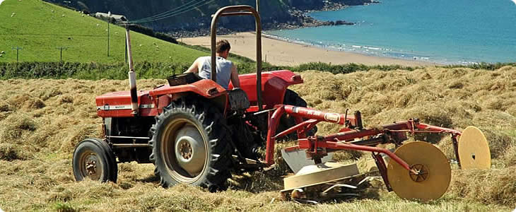 Tractor By The Sea