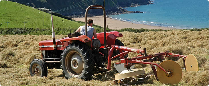 Spectacular Coast On A Devon Farm Holiday