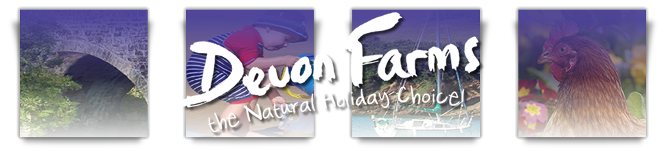 Devon Farm Holidays