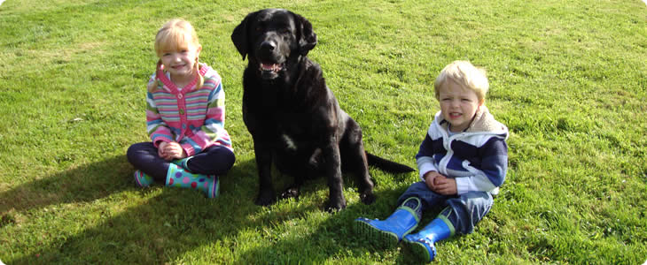 Dogs Are Welcome On A Devon Farm Holiday