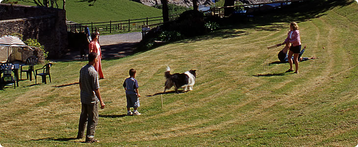 Dogs Are Welcome On A Devon Farm Holiday