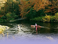 The Great Outdoors on Your Devon Farms Holiday