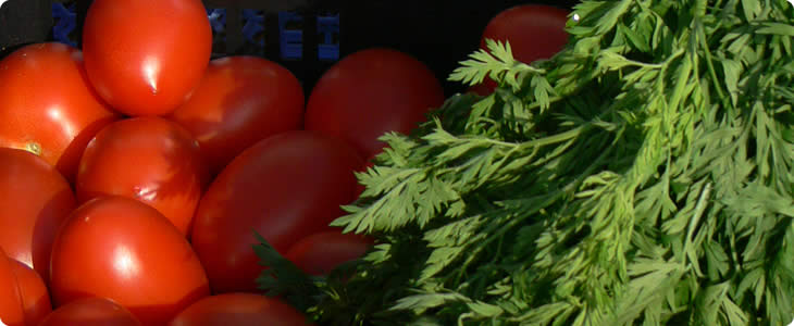 Delicious Food On A Devon Farm Holiday