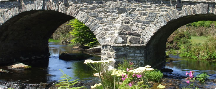 Bridge in Devon