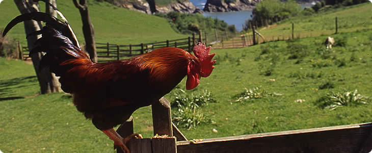 Devon  Views Of Country Side and Sea