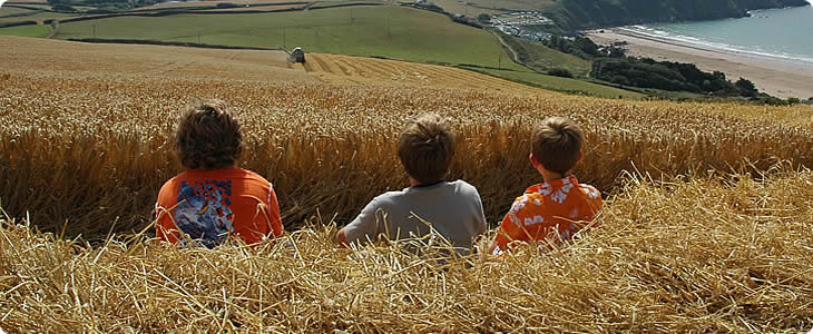 Children in Corn Field