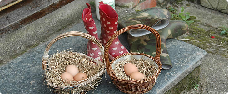 Wellies in Devon