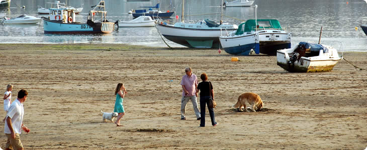 Beach in Devon