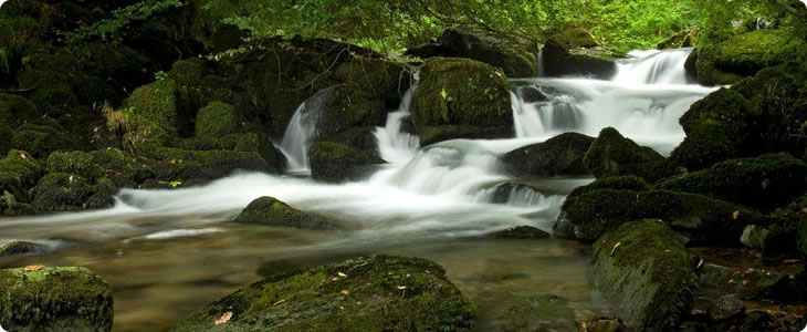 Doome Valley Devon