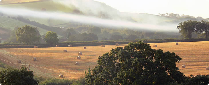 Misty Devon Countryside