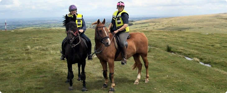 Lots Of Activities On A Devon Farm Holiday