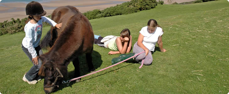 Lots Of Activities On A Devon Farm Holiday