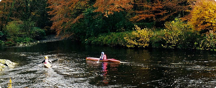 Lots Of Activities On A Devon Farm Holiday