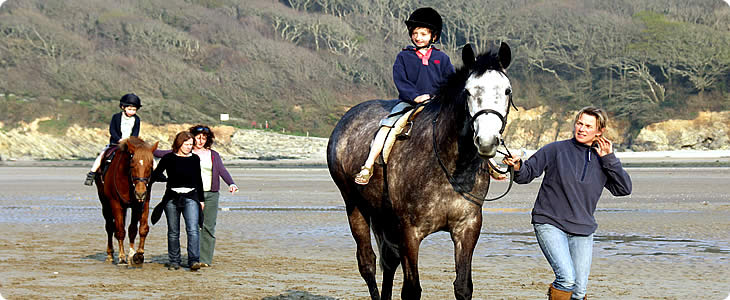 Lots Of Activities On A Devon Farm Holiday